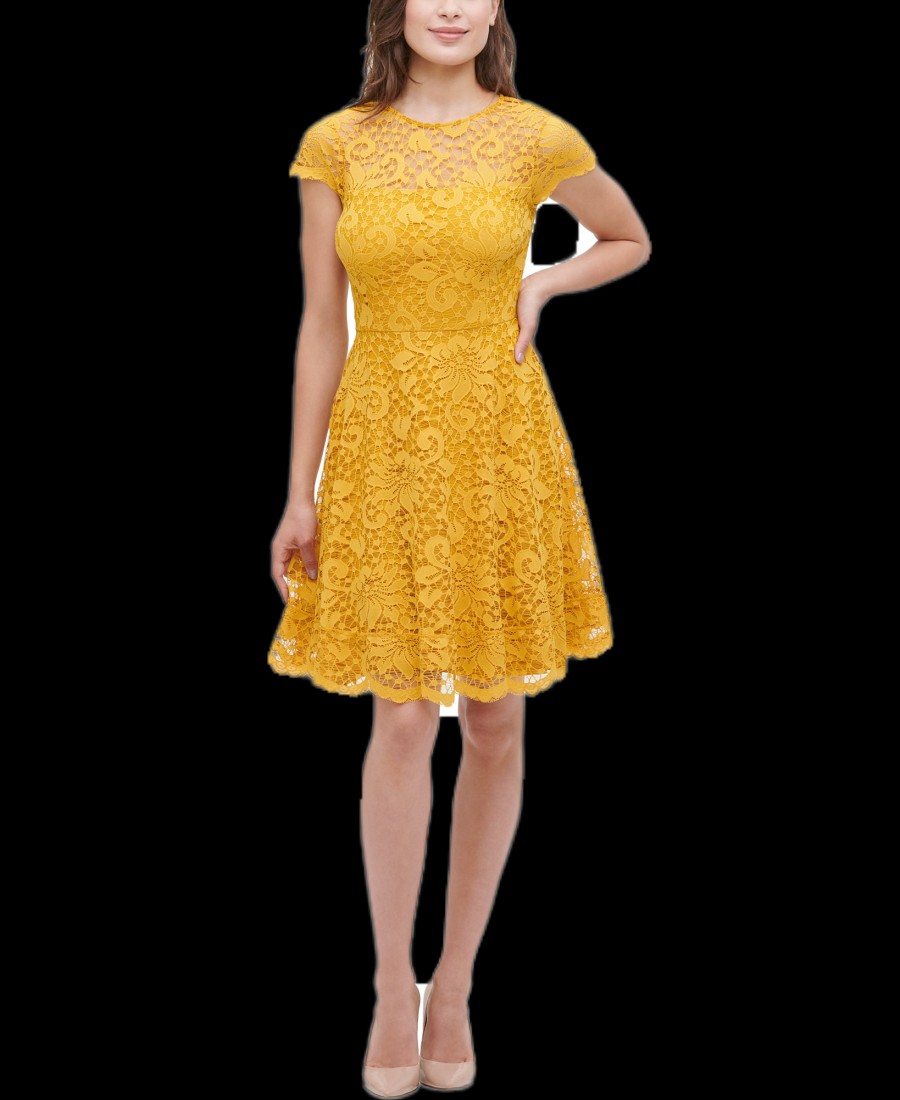 Women'S kensie | Floral-Lace Fit & Flare Dress Golden