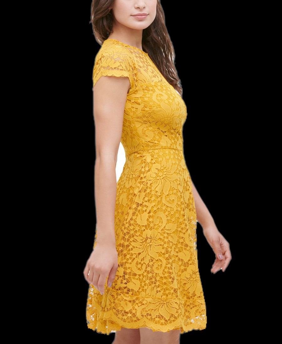 Women'S kensie | Floral-Lace Fit & Flare Dress Golden